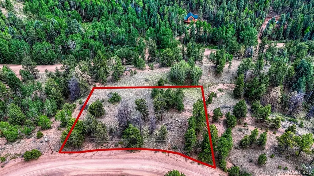 218 Princess Road Cripple Creek CO 80813