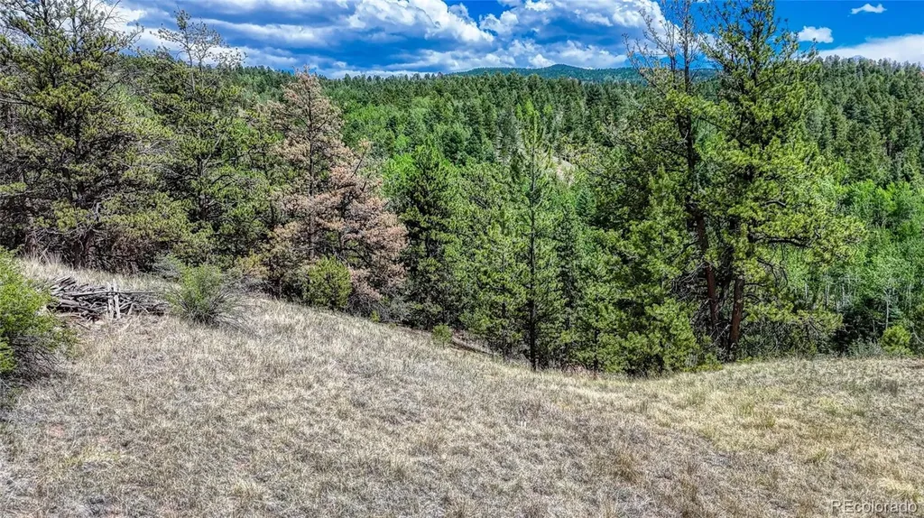 218 Princess Road Cripple Creek CO 80813