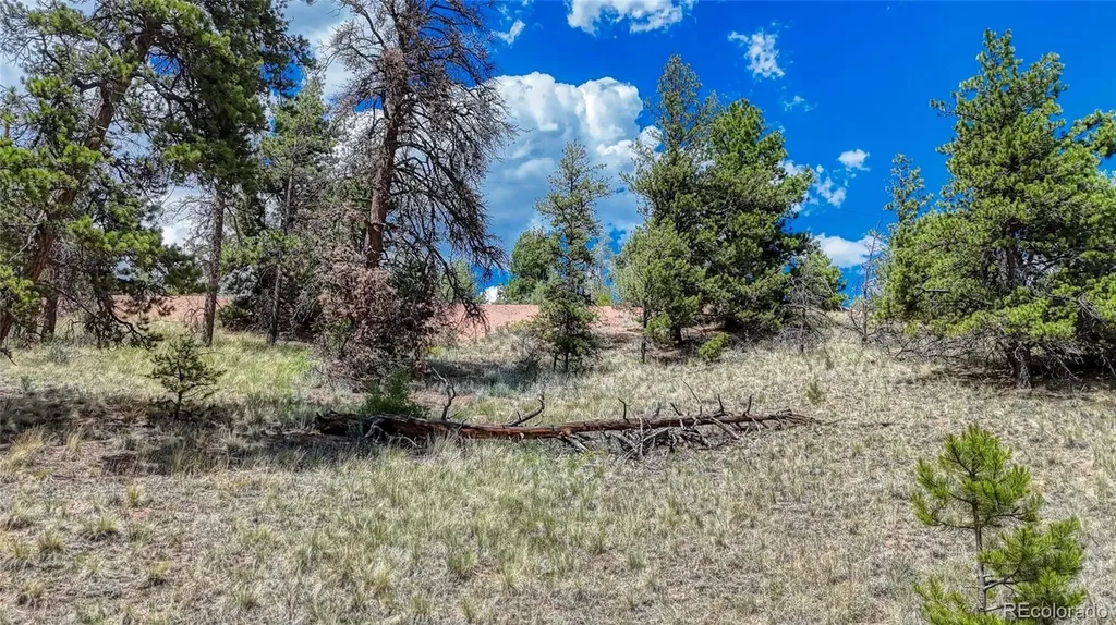 218 Princess Road Cripple Creek CO 80813