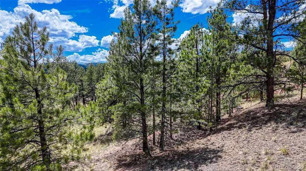 218 Princess Road Cripple Creek CO 80813