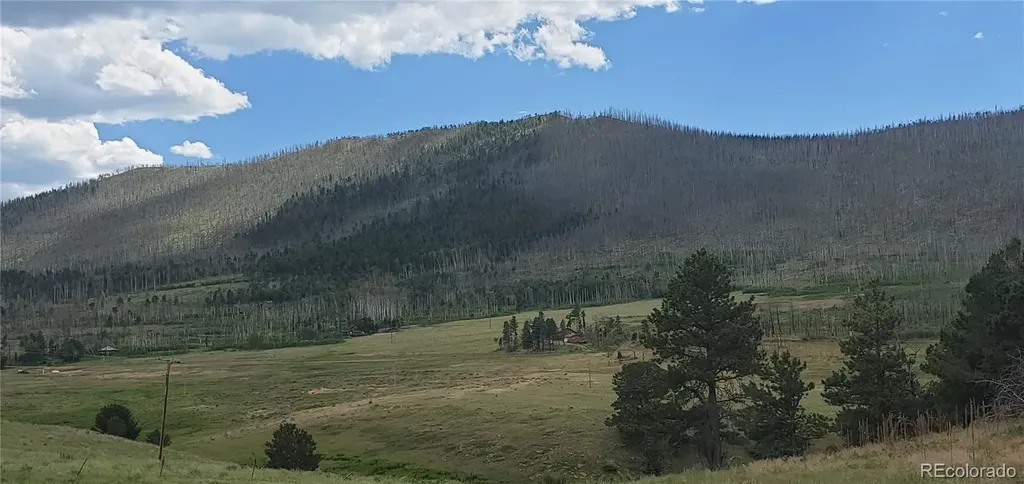Lot 1720 Fitts Place Fort Garland CO 81133