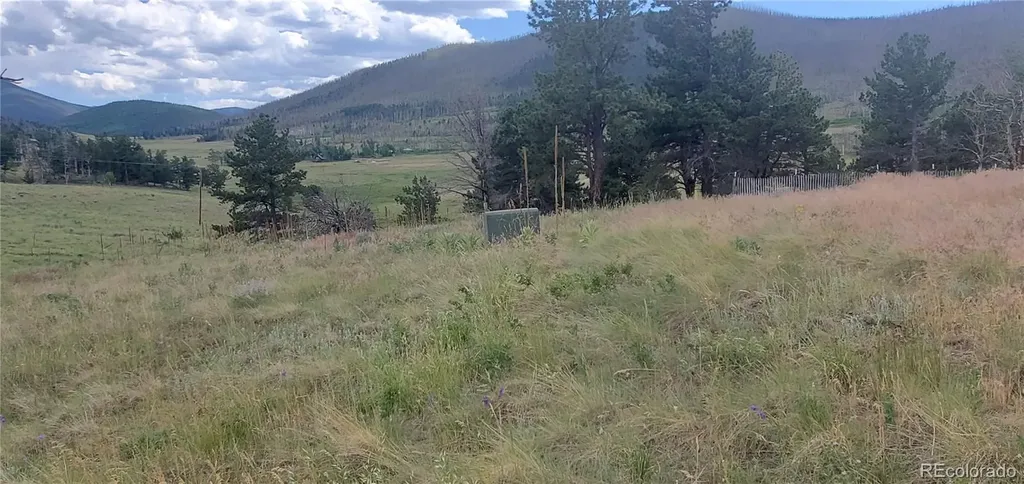 Lot 1720 Fitts Place Fort Garland CO 81133