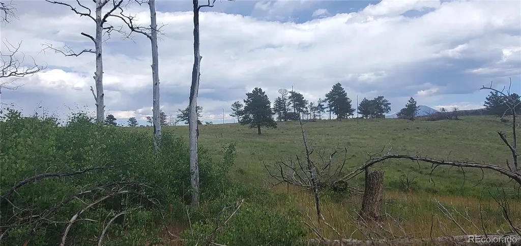 Lot 1720 Fitts Place Fort Garland CO 81133