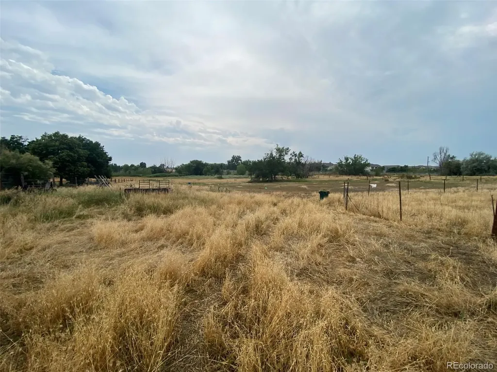 12380 York Street Thornton CO 80241
