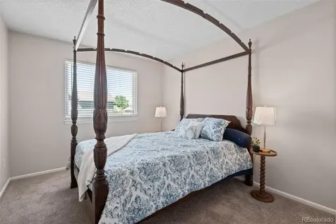 4883 Apollo Bay Drive Highlands Ranch CO 80130