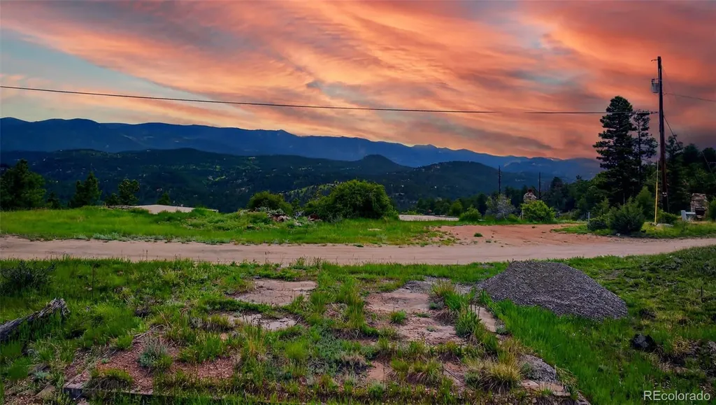 33888 Mineral Lane Pine CO 80470