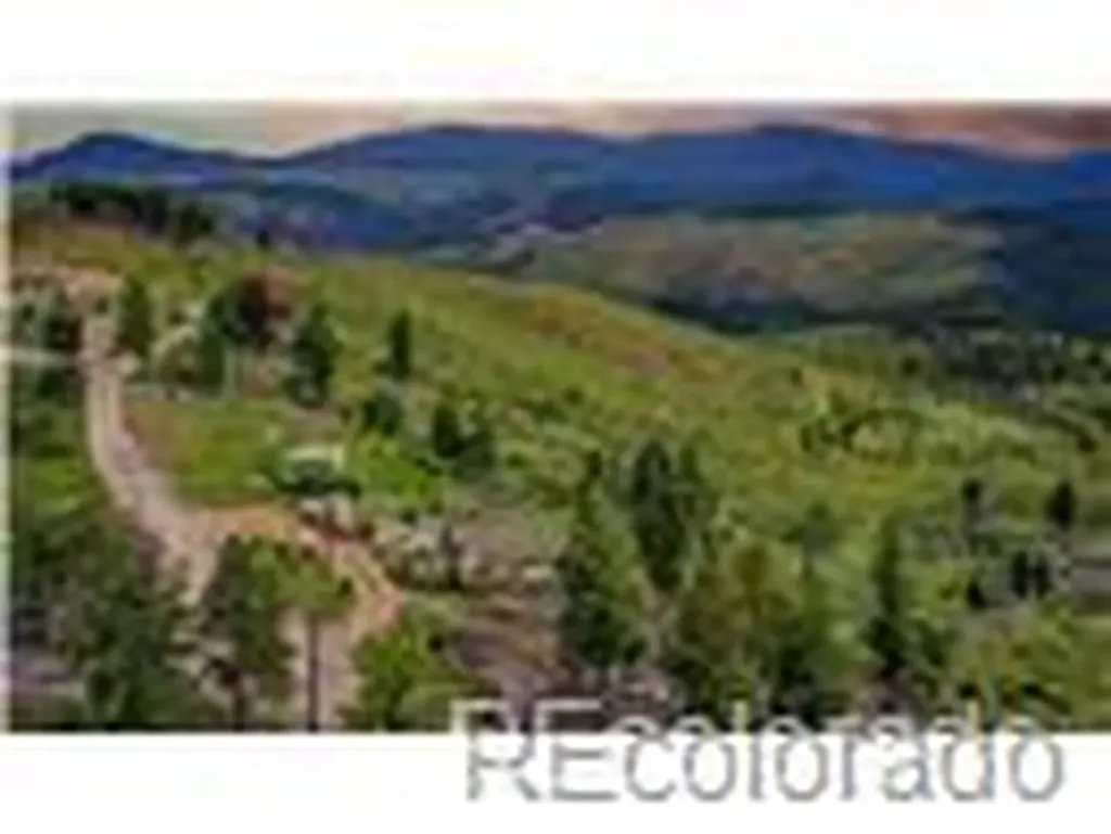 33888 Mineral Lane Pine CO 80470