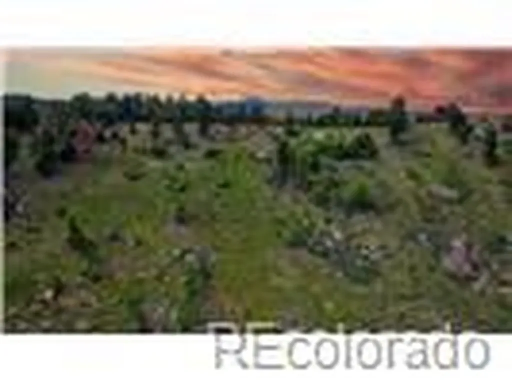 33888 Mineral Lane Pine CO 80470