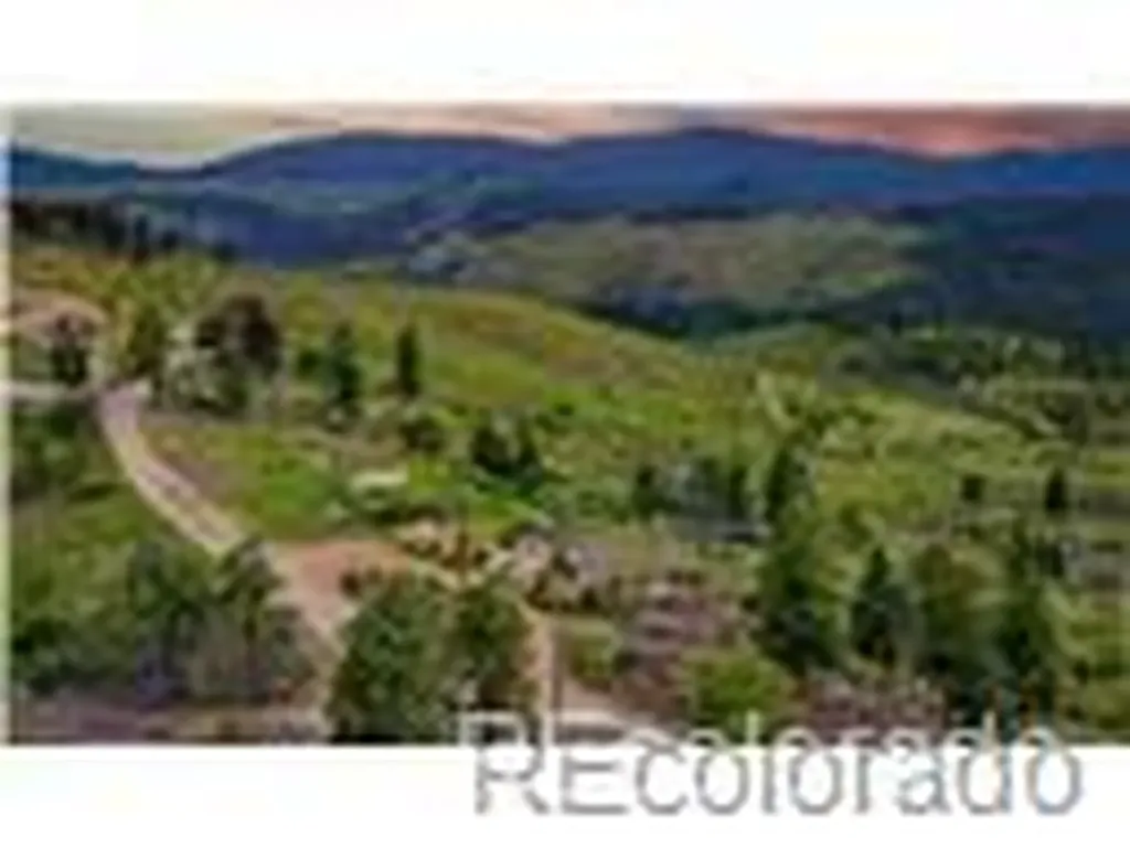 33888 Mineral Lane Pine CO 80470