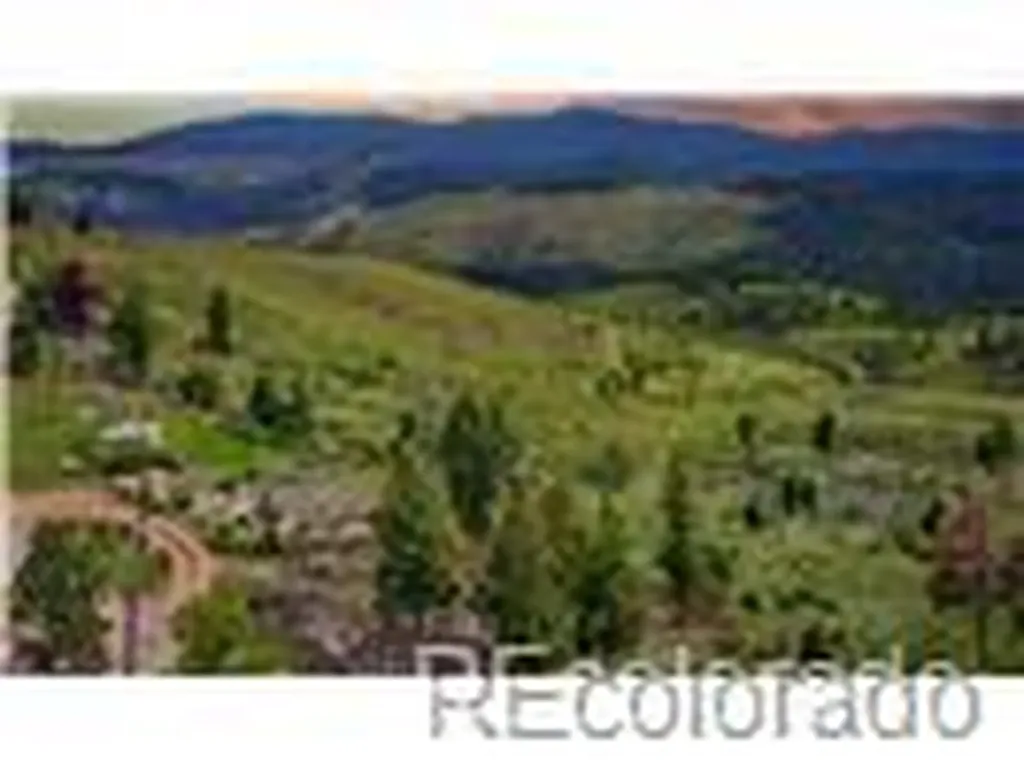 33888 Mineral Lane Pine CO 80470