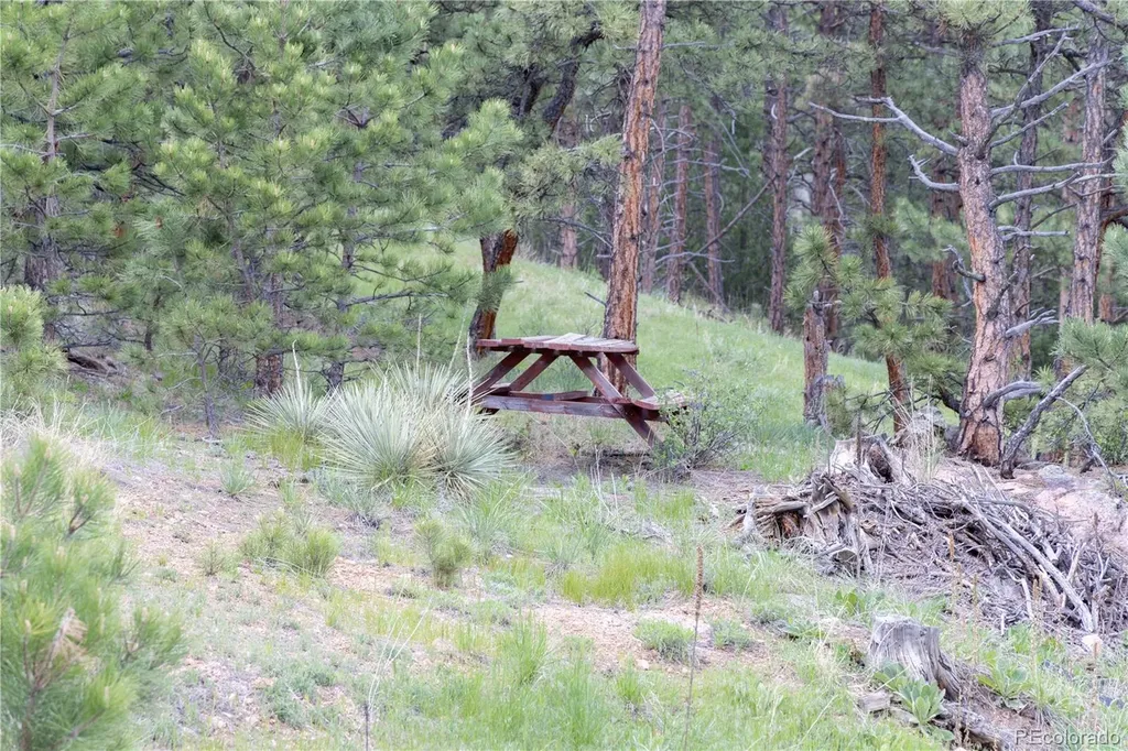 3600 Blue Mountain Trail Lyons CO 80540