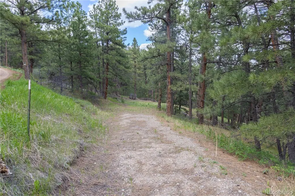 3600 Blue Mountain Trail Lyons CO 80540