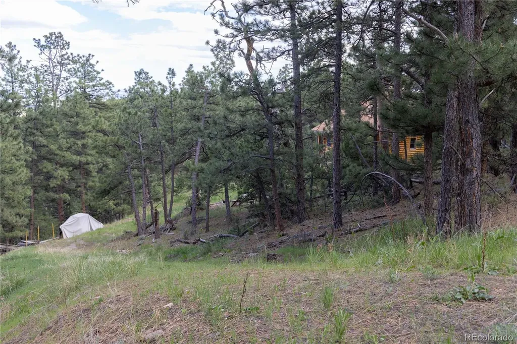 3600 Blue Mountain Trail Lyons CO 80540