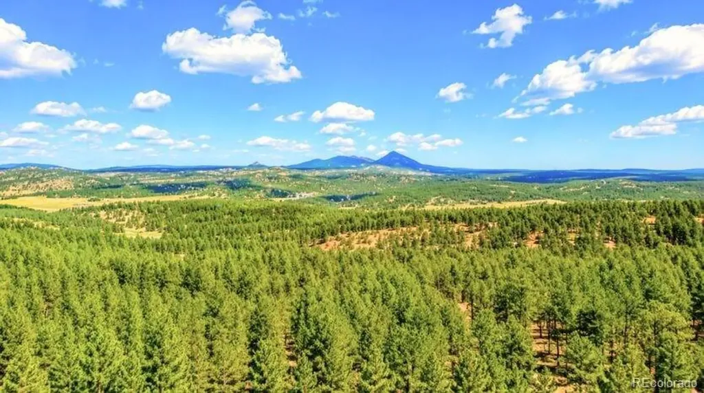 196 Freeman Drive Florissant CO 80816