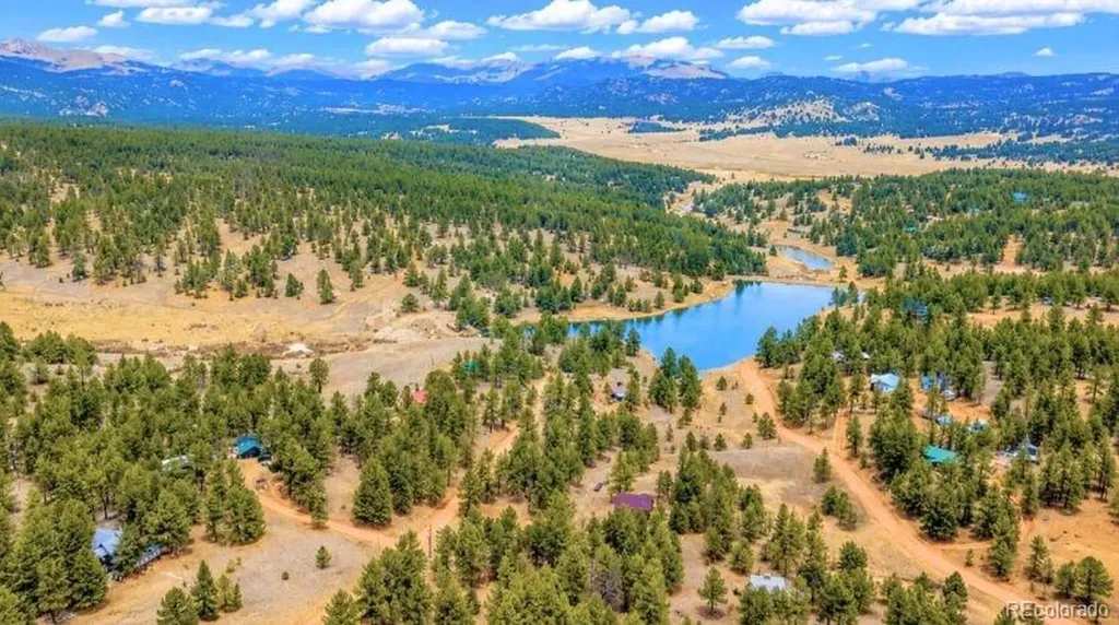 196 Freeman Drive Florissant CO 80816