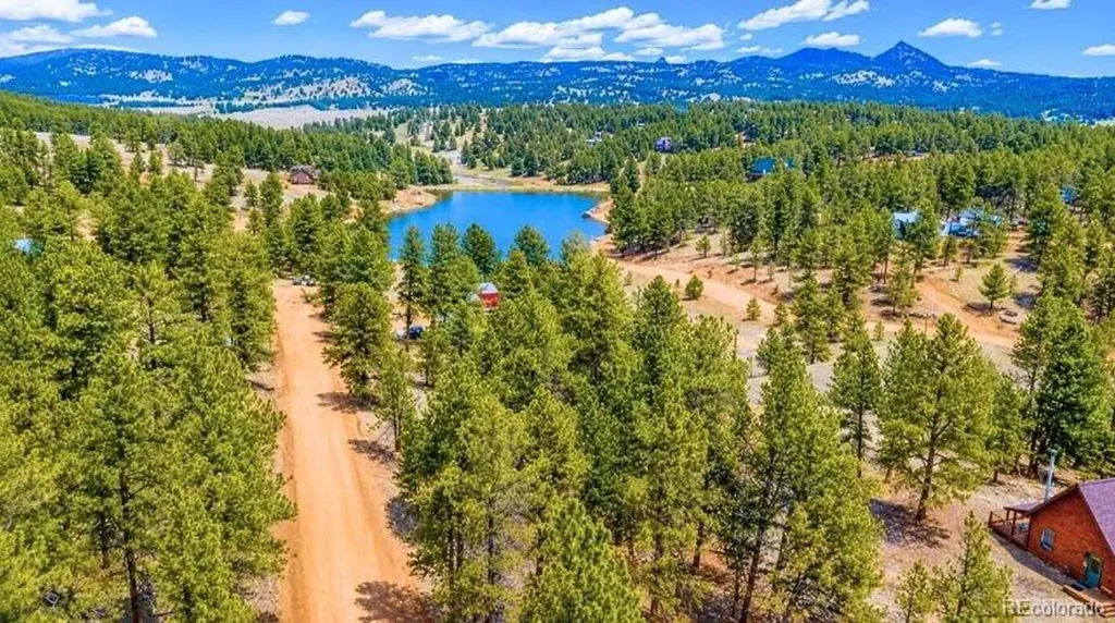 196 Freeman Drive Florissant CO 80816