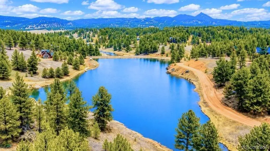 196 Freeman Drive Florissant CO 80816