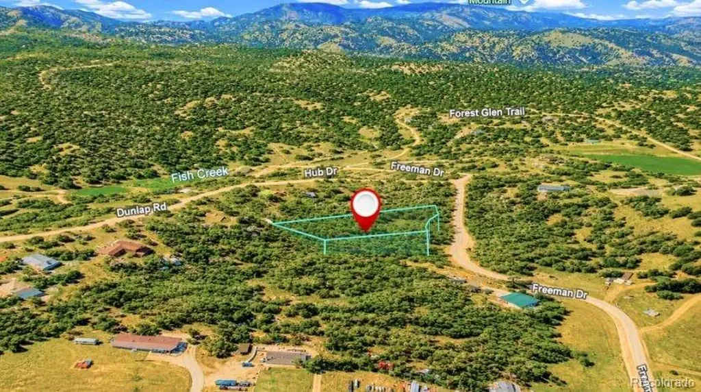 196 Freeman Drive Florissant CO 80816
