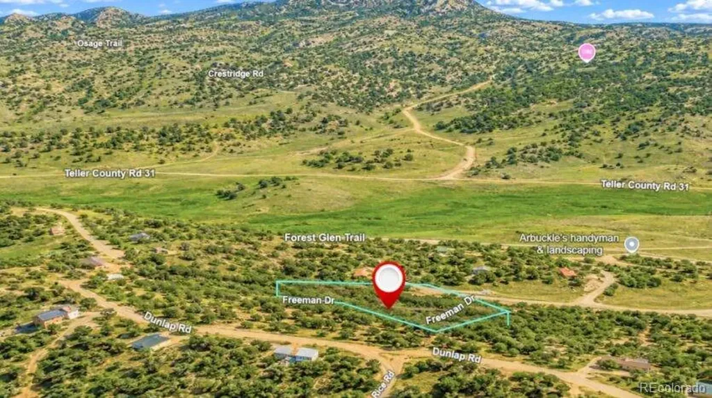 196 Freeman Drive Florissant CO 80816