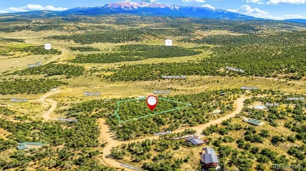 196 Freeman Drive Florissant CO 80816