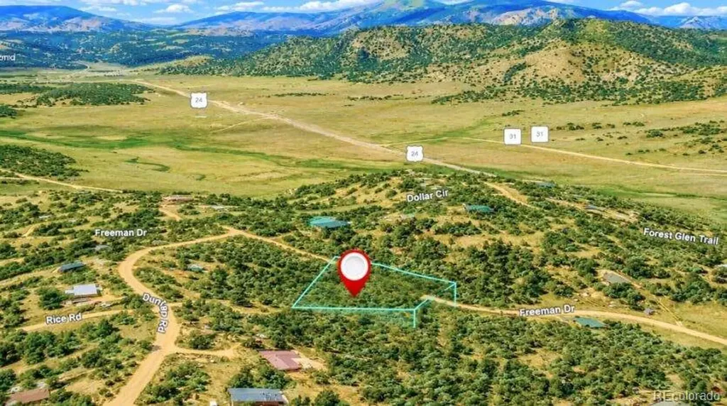 196 Freeman Drive Florissant CO 80816