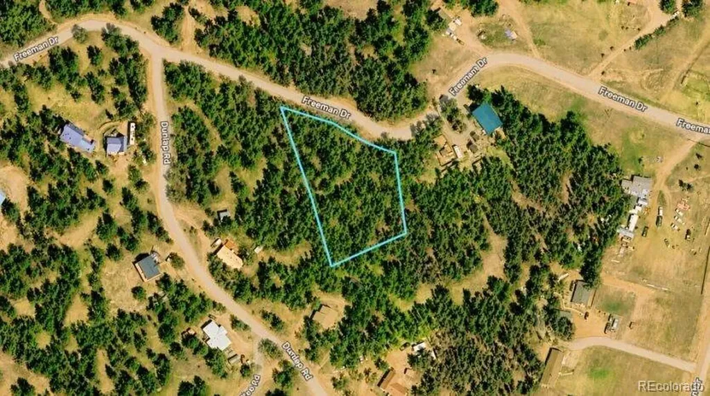 196 Freeman Drive Florissant CO 80816