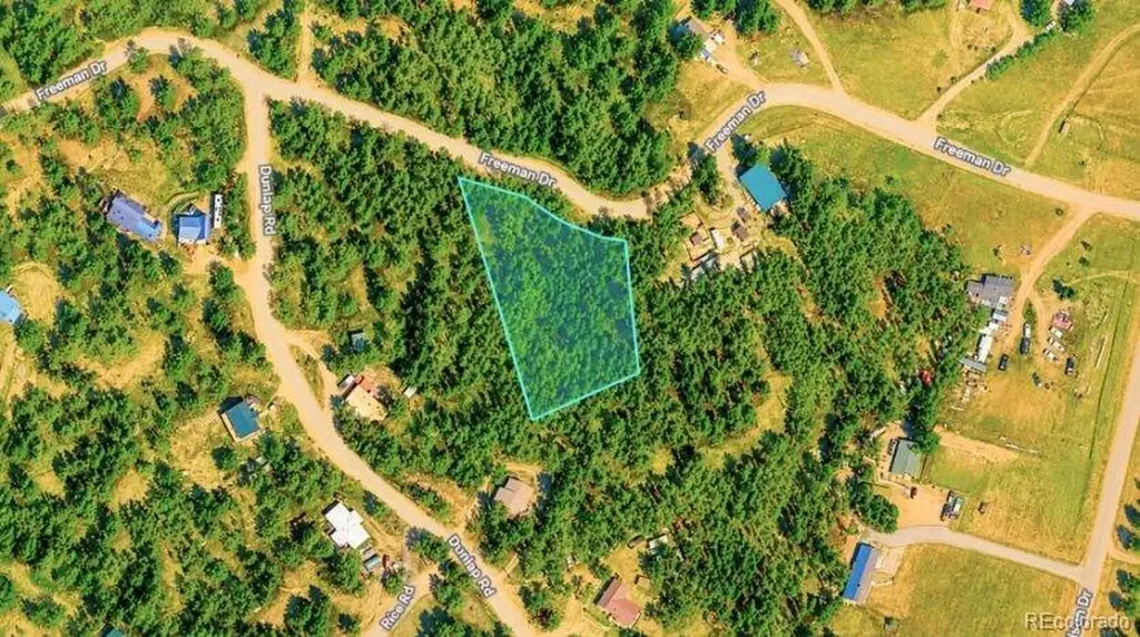 196 Freeman Drive Florissant CO 80816
