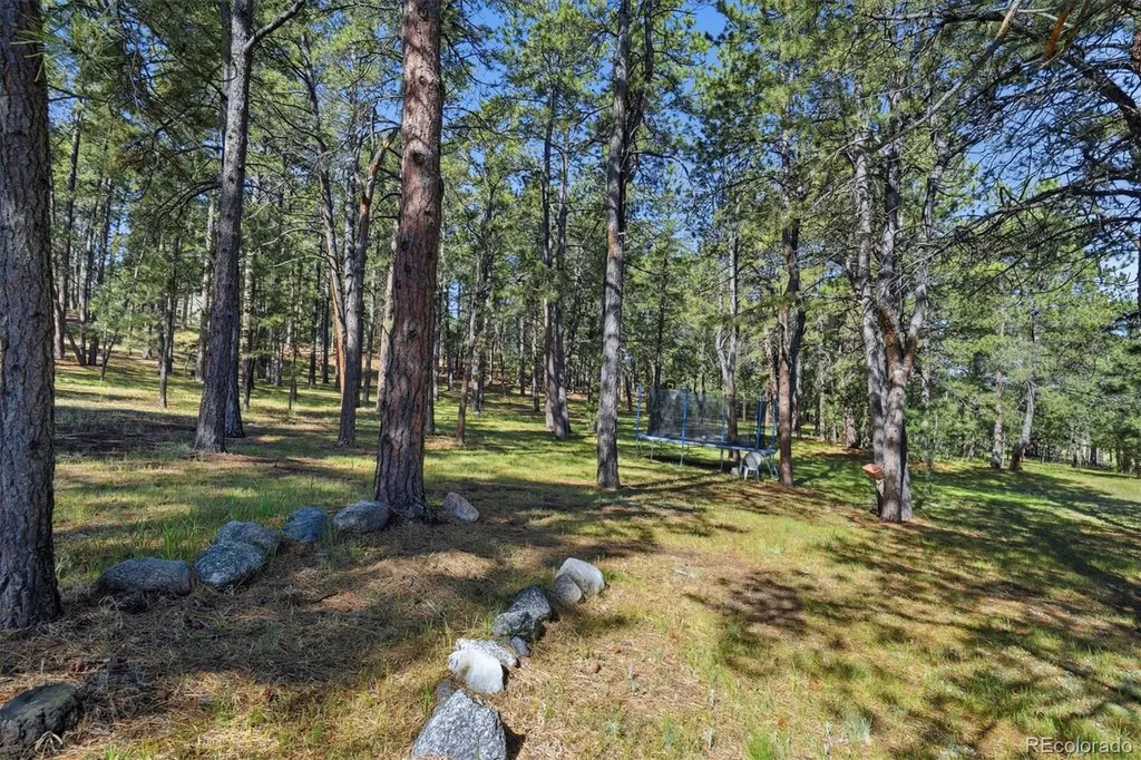 20470 Lockridge Drive Colorado Springs CO 80908