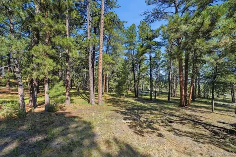 20470 Lockridge Drive Colorado Springs CO 80908