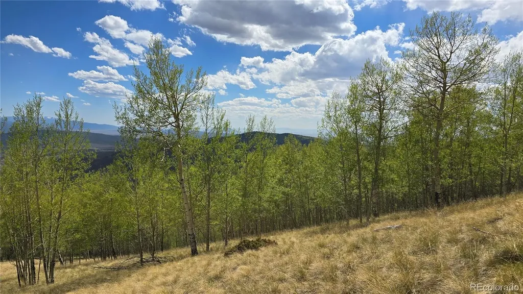 64121 Ryland Road San Luis CO 81133