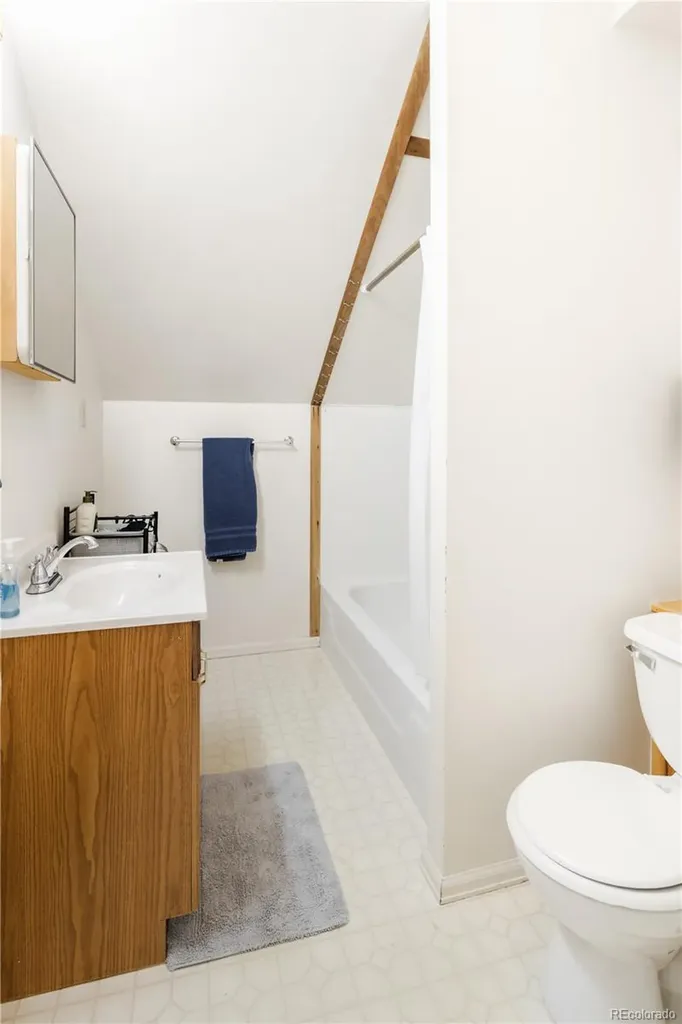 217 E 8th Street Leadville CO 80461