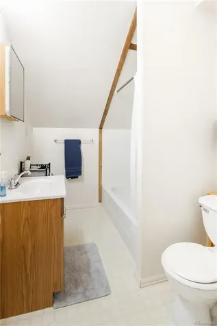 217 E 8th Street Leadville CO 80461