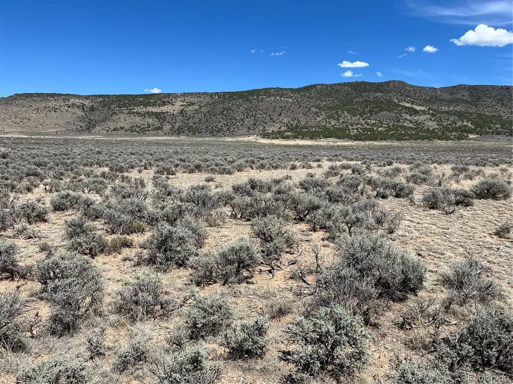20 Acres Peacock Road San Luis CO 81152