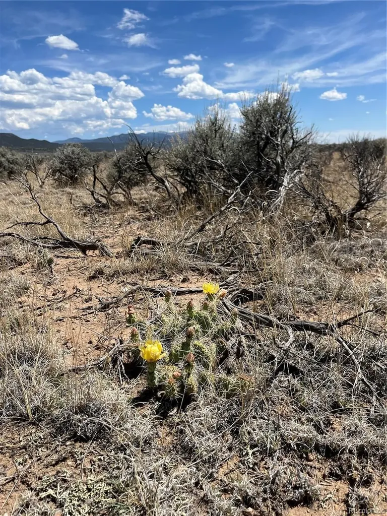 20 Acres Peacock Road San Luis CO 81152