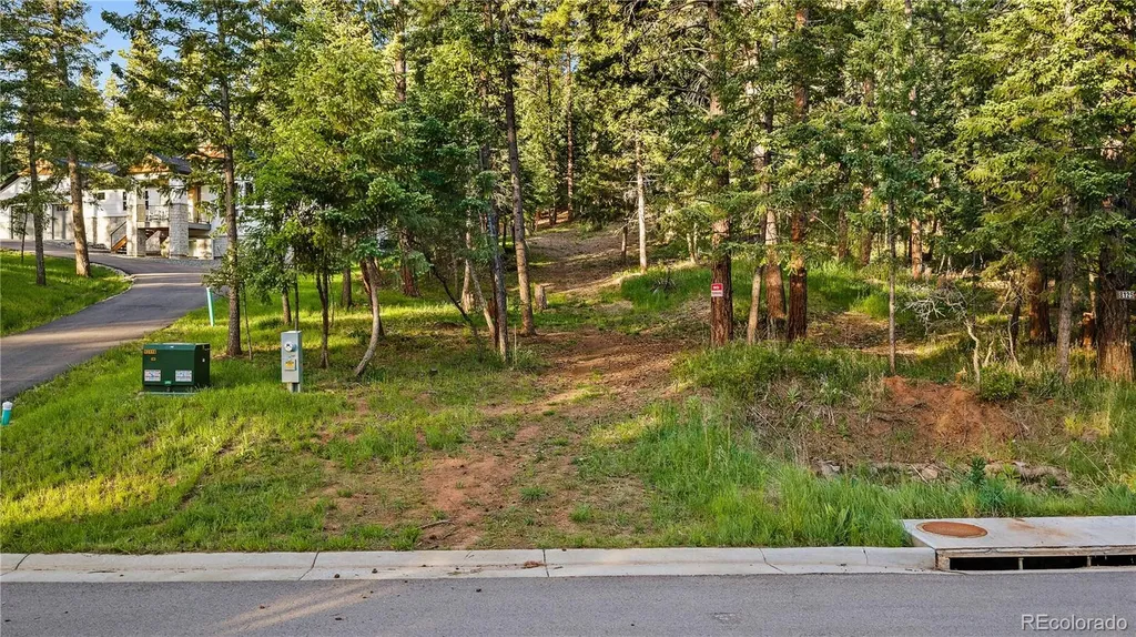 8125 Bannock Drive Larkspur CO 80118