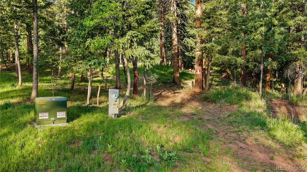 8125 Bannock Drive Larkspur CO 80118
