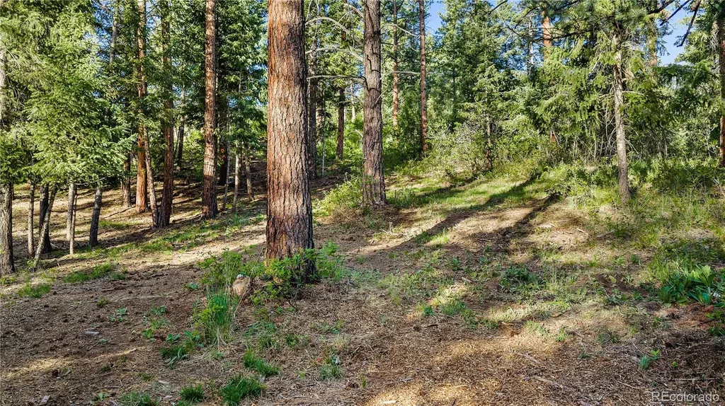 8125 Bannock Drive Larkspur CO 80118