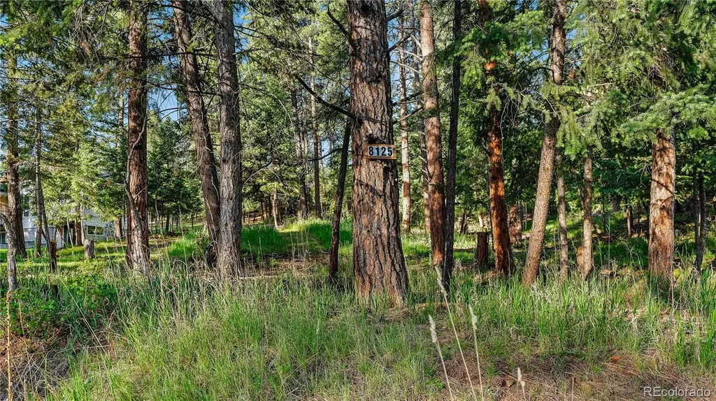 8125 Bannock Drive Larkspur CO 80118