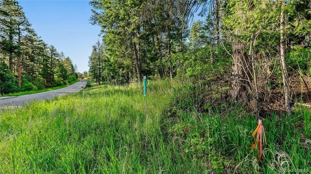 8125 Bannock Drive Larkspur CO 80118