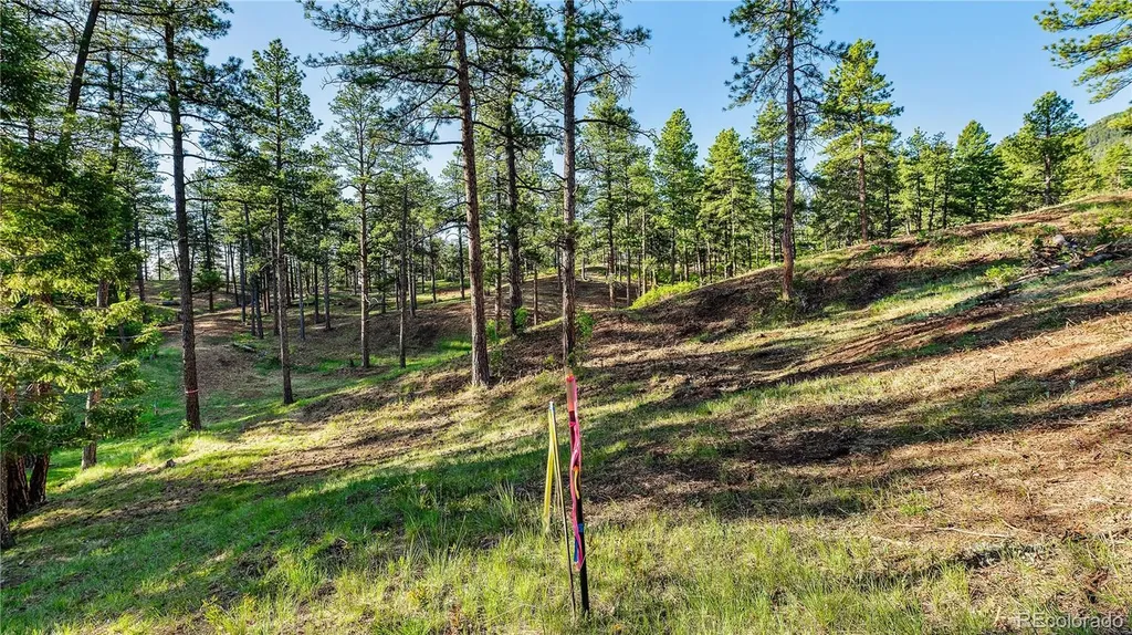 8125 Bannock Drive Larkspur CO 80118
