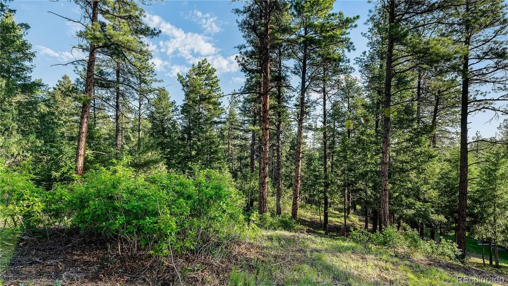 8125 Bannock Drive Larkspur CO 80118