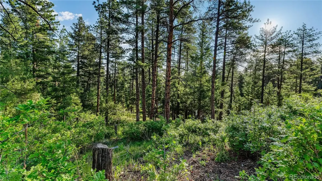 8125 Bannock Drive Larkspur CO 80118