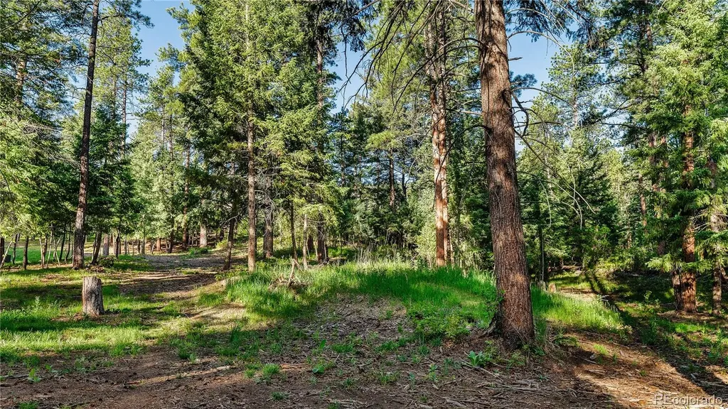 8125 Bannock Drive Larkspur CO 80118