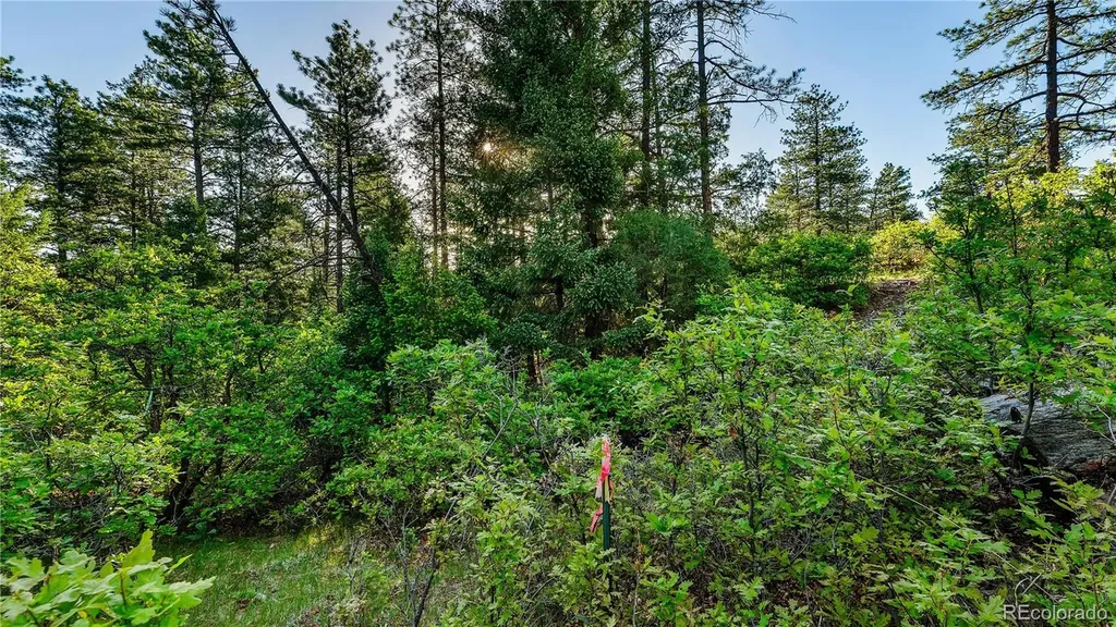 8125 Bannock Drive Larkspur CO 80118