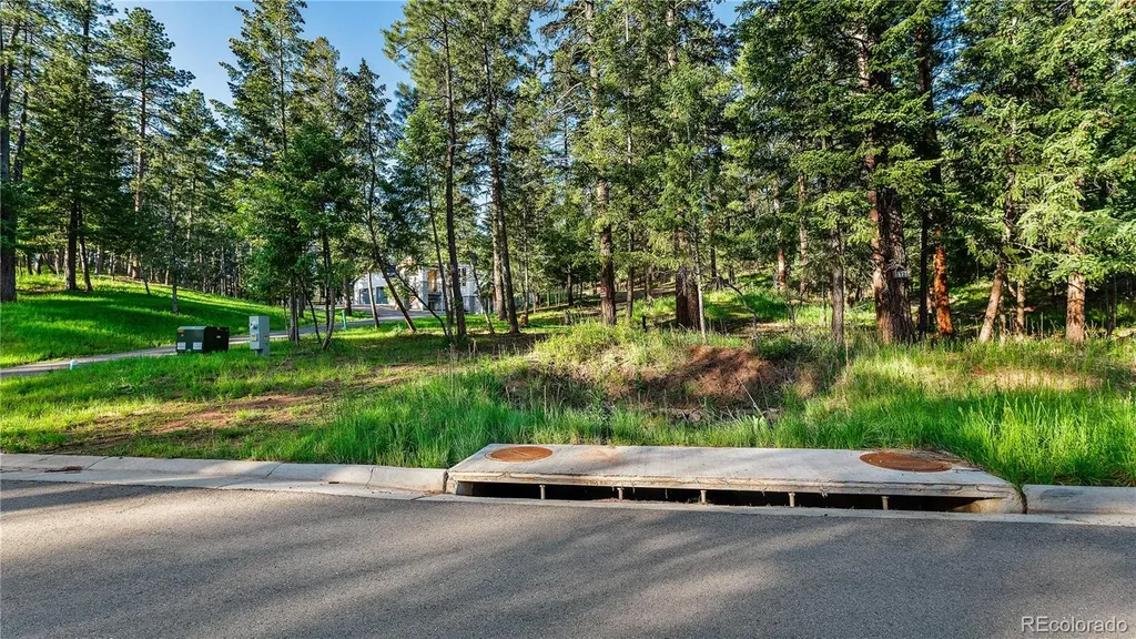 8125 Bannock Drive Larkspur CO 80118