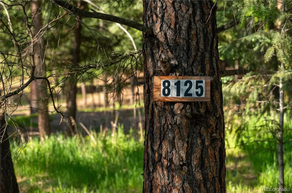 8125 Bannock Drive Larkspur CO 80118