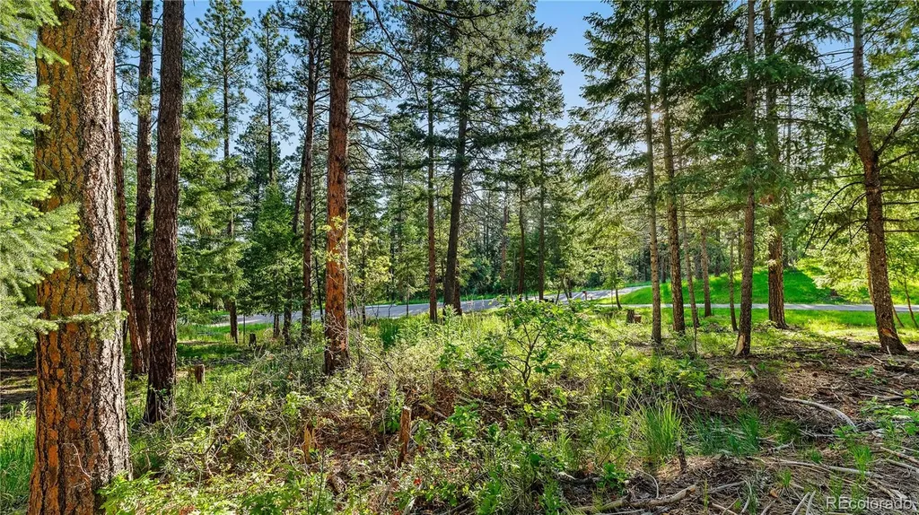 8125 Bannock Drive Larkspur CO 80118
