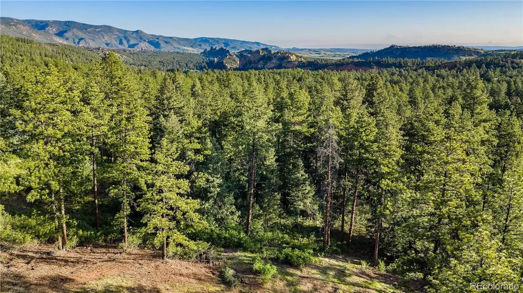 8125 Bannock Drive Larkspur CO 80118