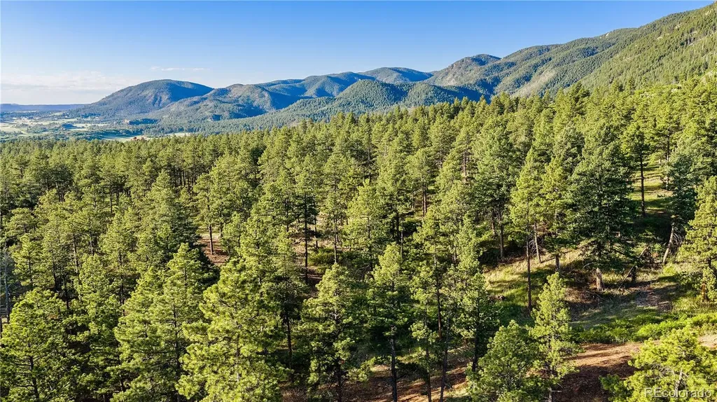 8125 Bannock Drive Larkspur CO 80118
