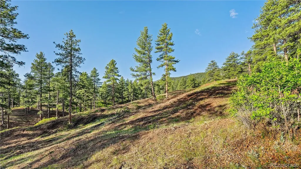 8125 Bannock Drive Larkspur CO 80118